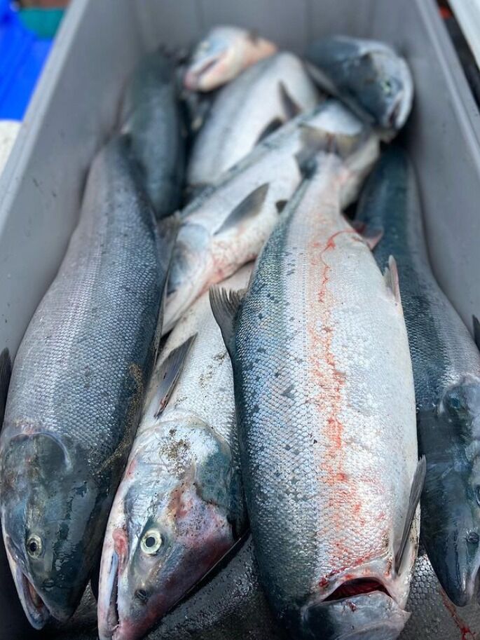 Picture of Fishing