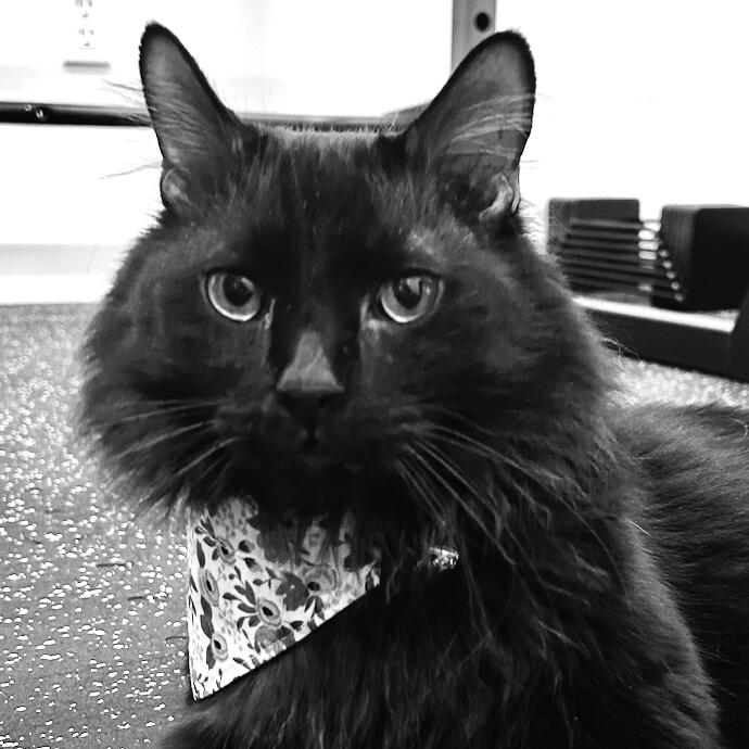 Finley