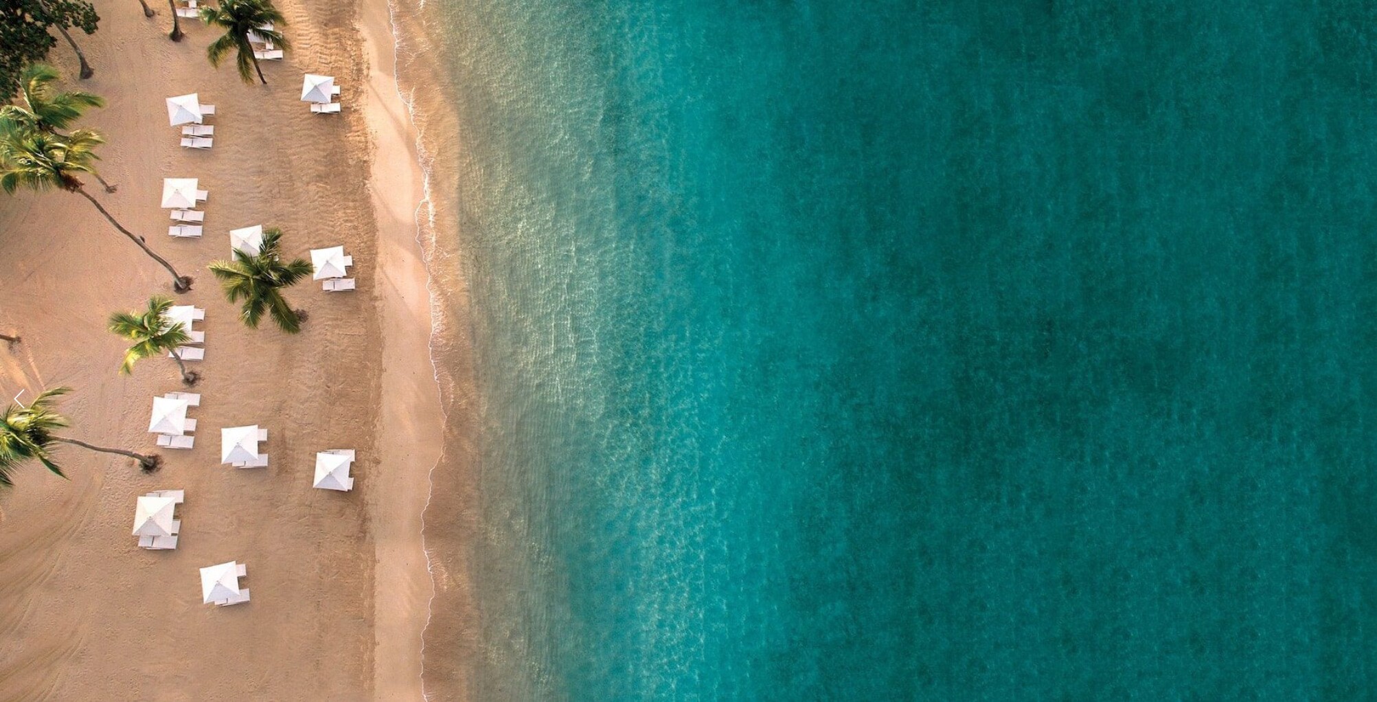 Ariana & Katie Home Page Banner