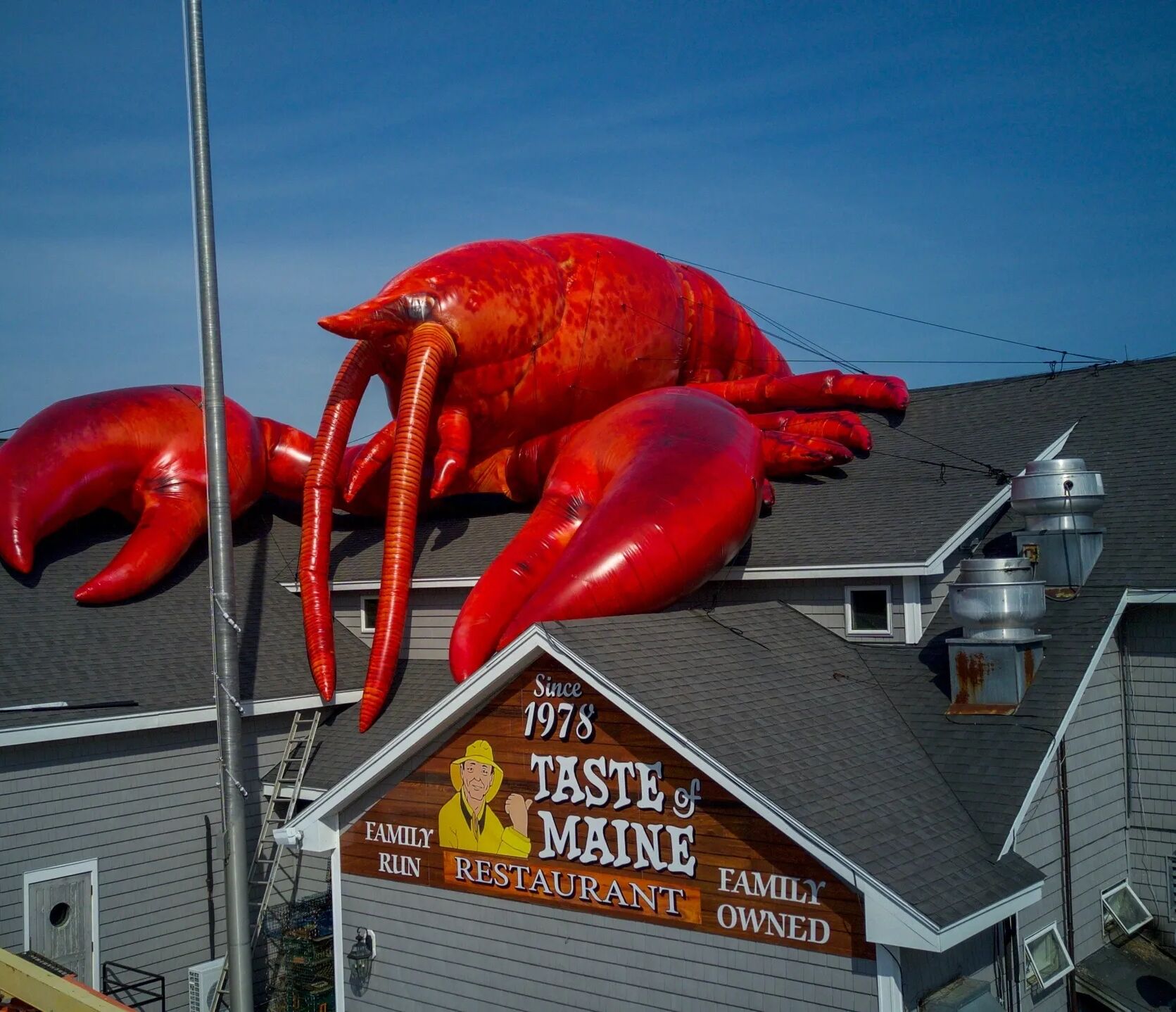 Picture of Taste of Maine Restaurant