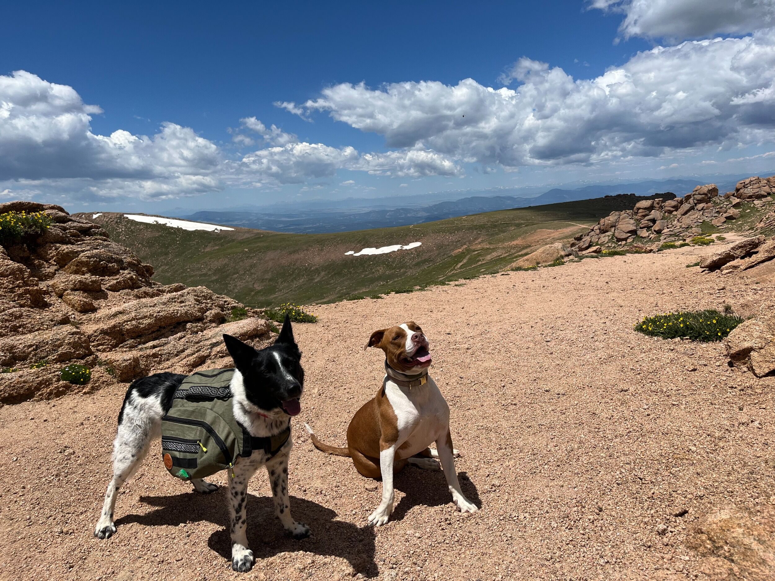 Picture of Pikes Peak Summit House
