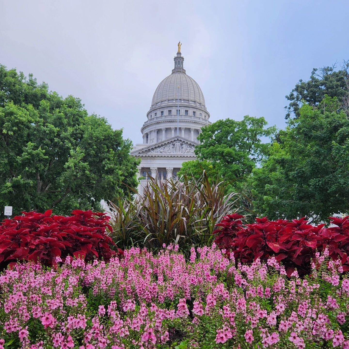 Picture of Dane County Farmers' Market