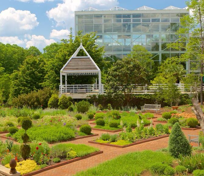 Picture of The State Botanical Gardens Of Georgia