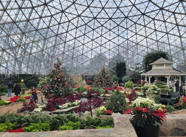 Picture of The Domes