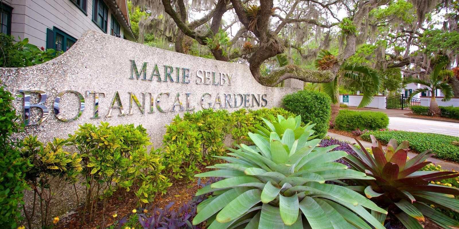 Picture of Marie Selby Botanical Gardens