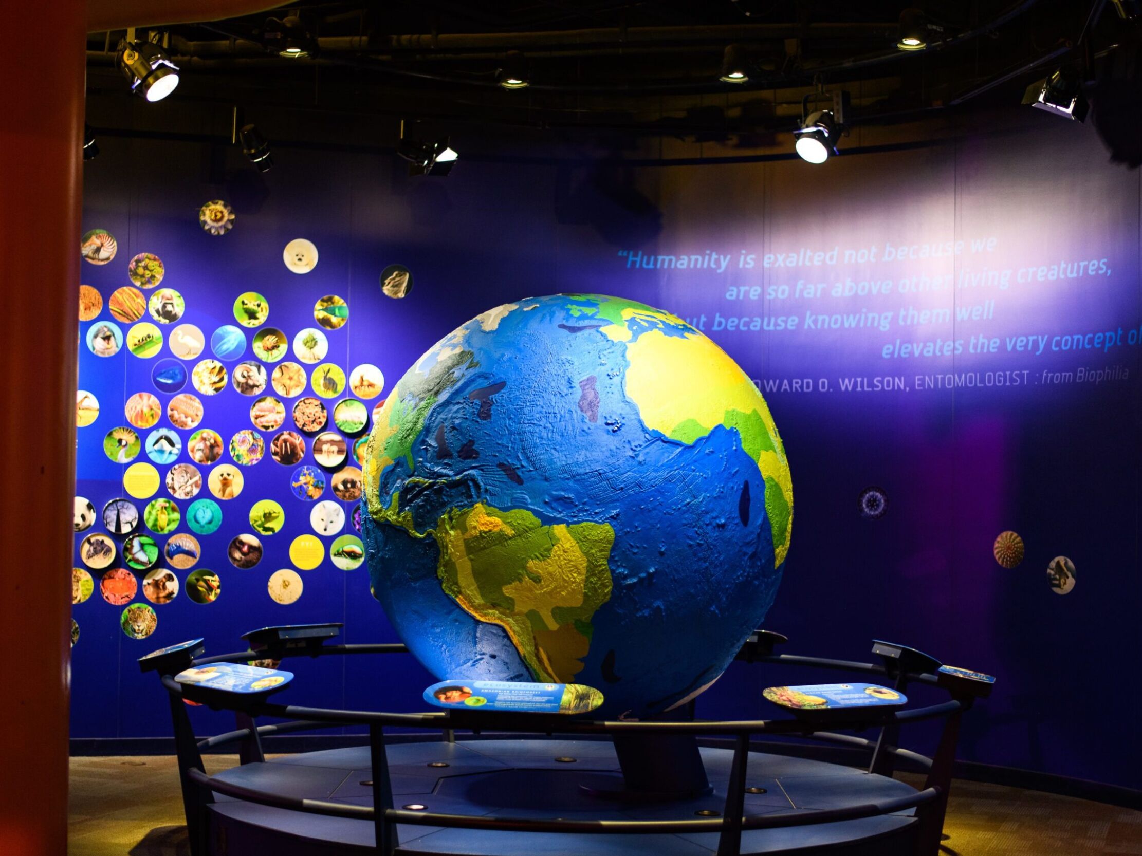 Picture of Discovery Place Science
