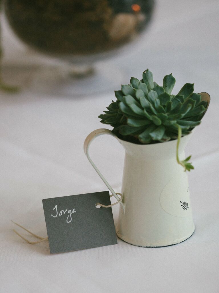 Sustainable succulent wedding favors.