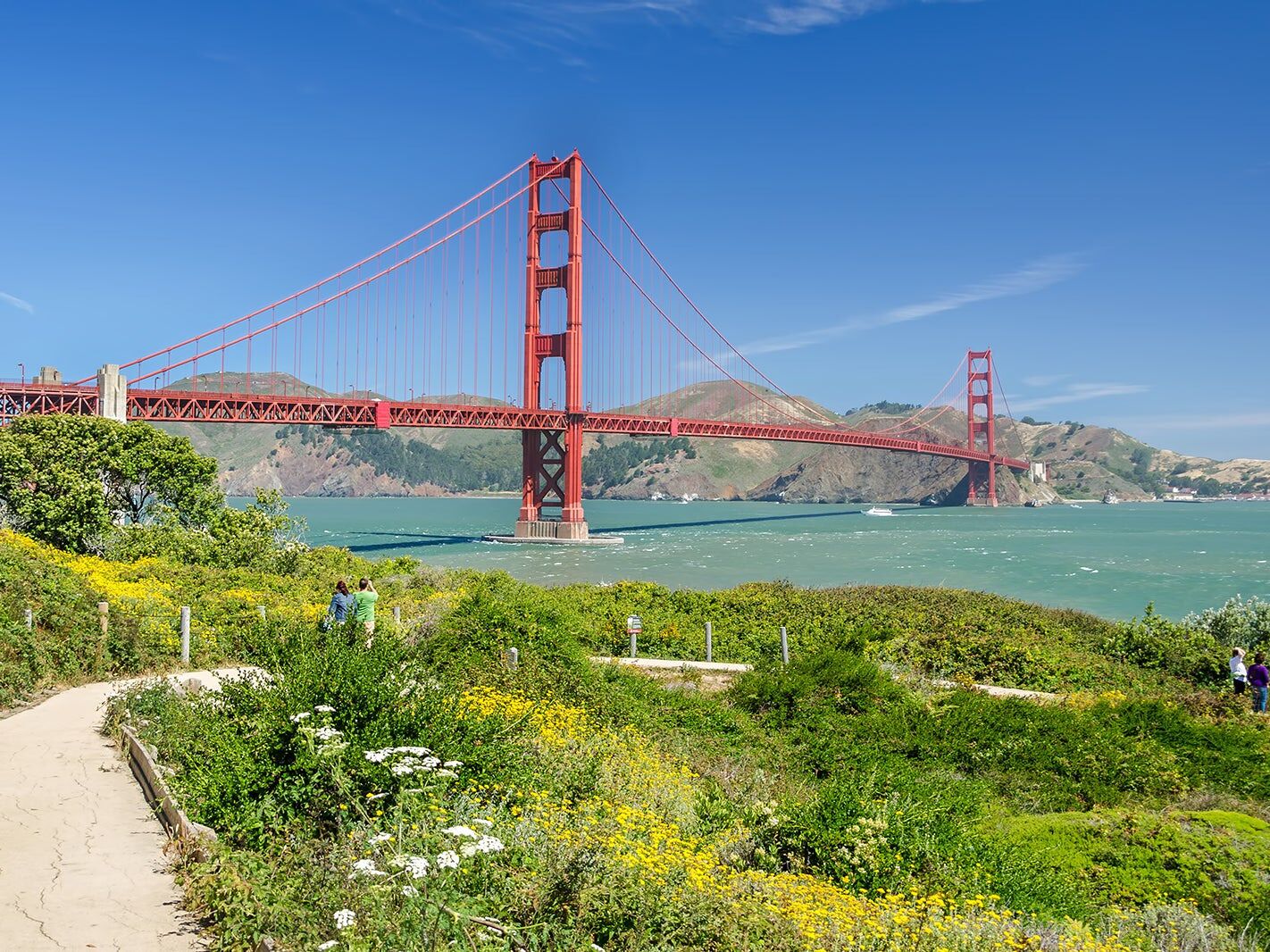 Picture of Golden Gate Park