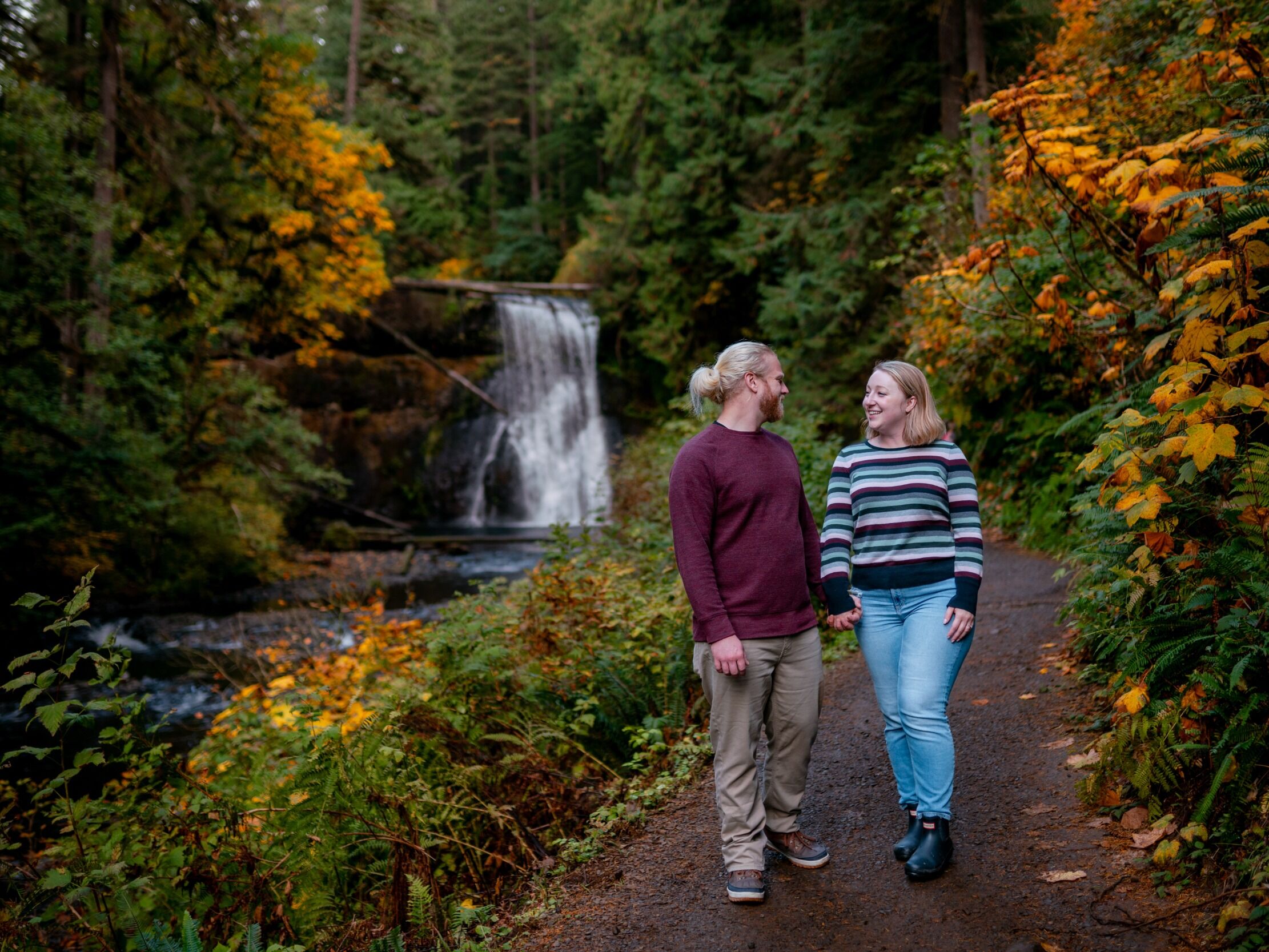 Picture of Silver Falls State Park