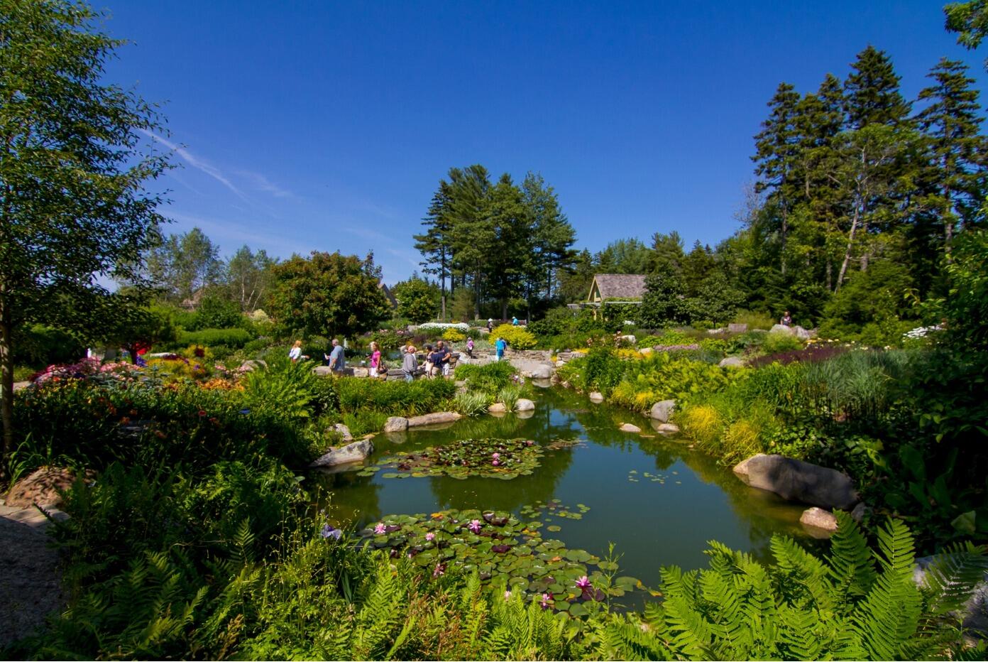 Picture of Coastal Maine Botanical Gardens