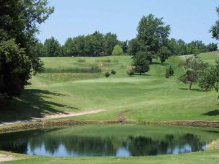 Picture of Springbrook Greens State Golf Course