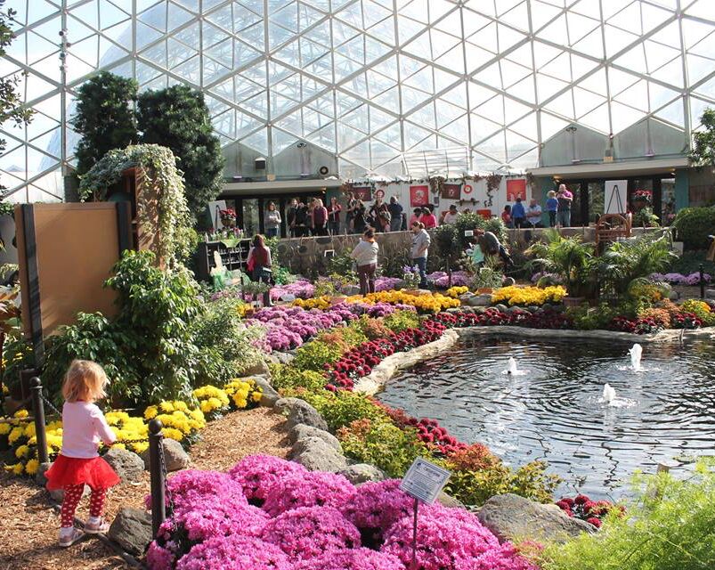 Picture of Milwaukee Domes
