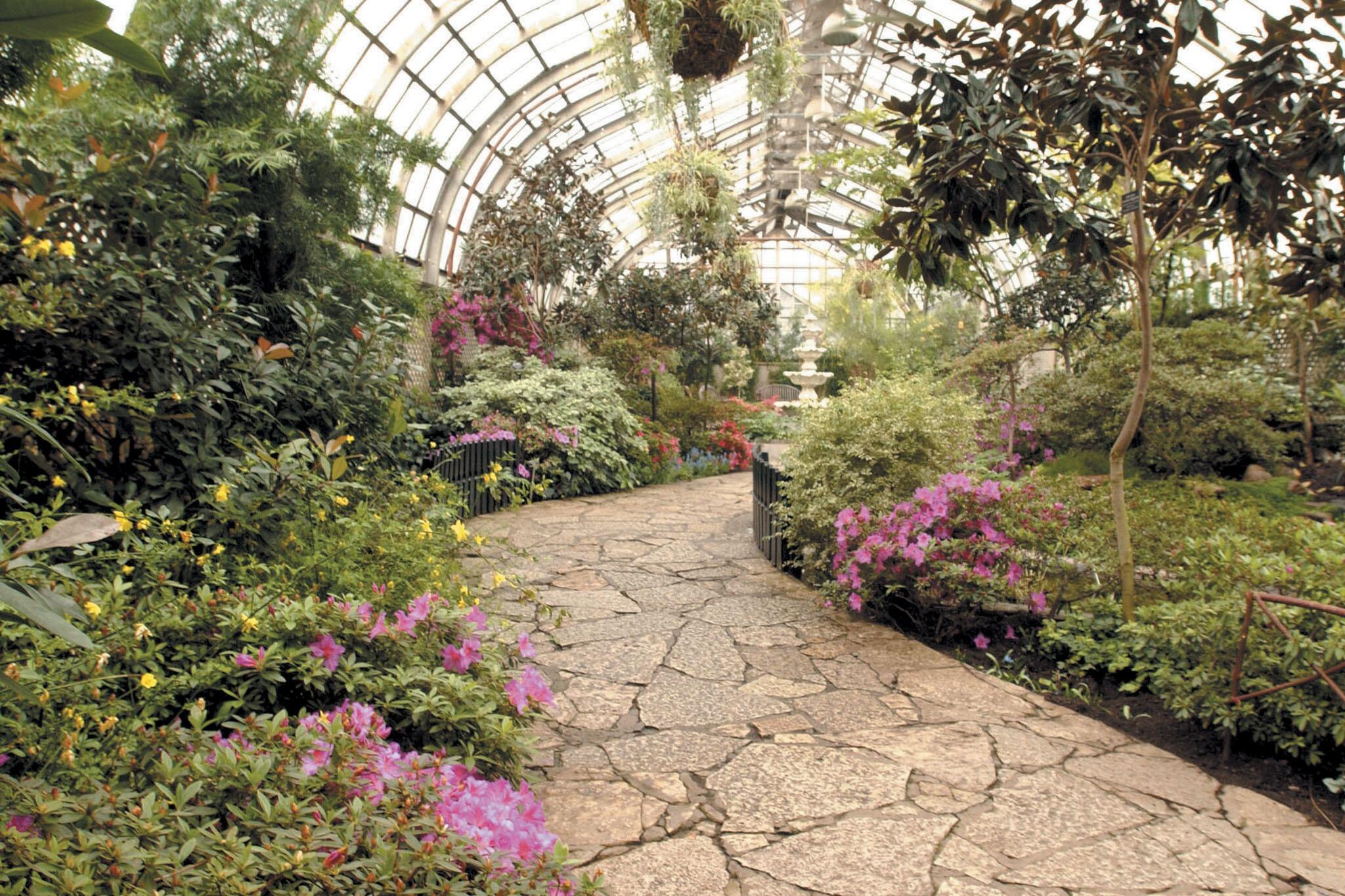 Picture of Lincoln Park Conservatory