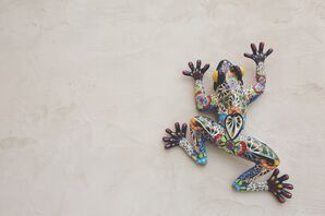 Painted Frog Reception Site Decor