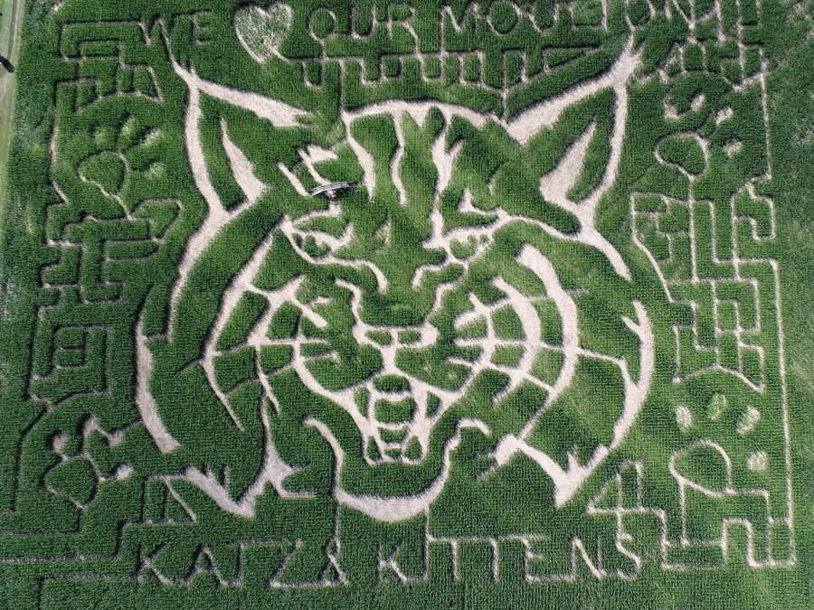 Picture of Rocky Creek Maze