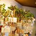 The escort cards were displayed hanging from potted trees with champagne satin ribbons for a whimsical indoor garden feel.