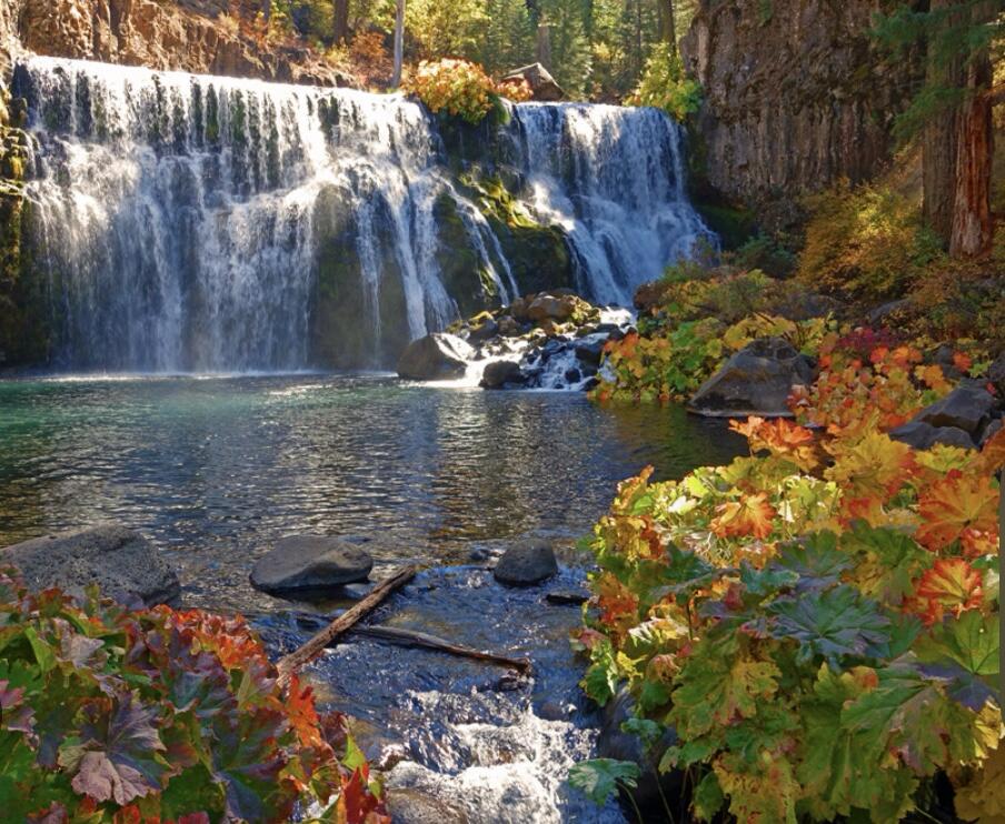 Picture of McCloud River Falls