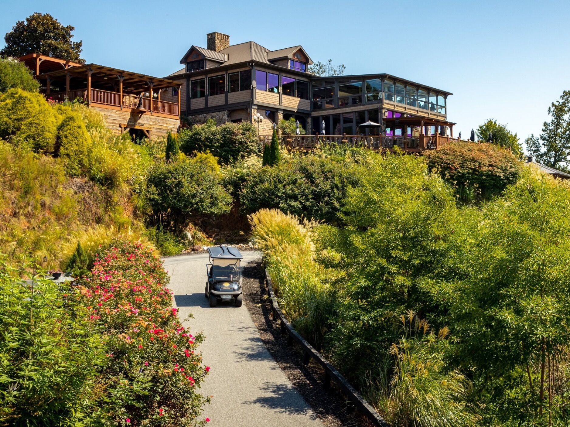 Picture of Wolf Mountain Vineyards