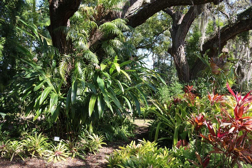 Picture of Mead Botanical Garden