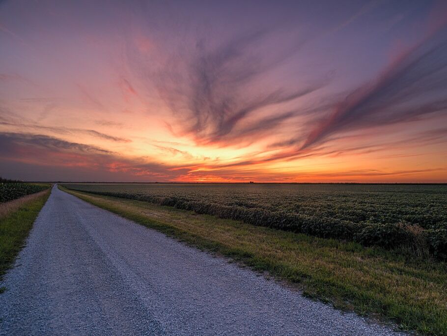 Picture of Country Roads