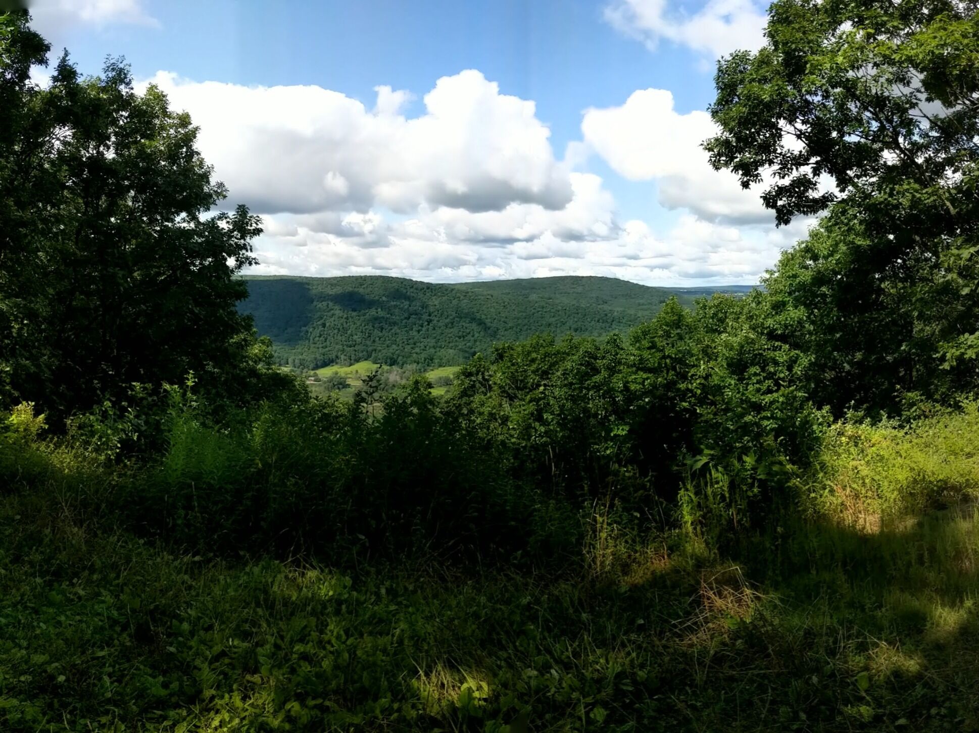 Picture of Finger Lakes Trail, Abbott Loop