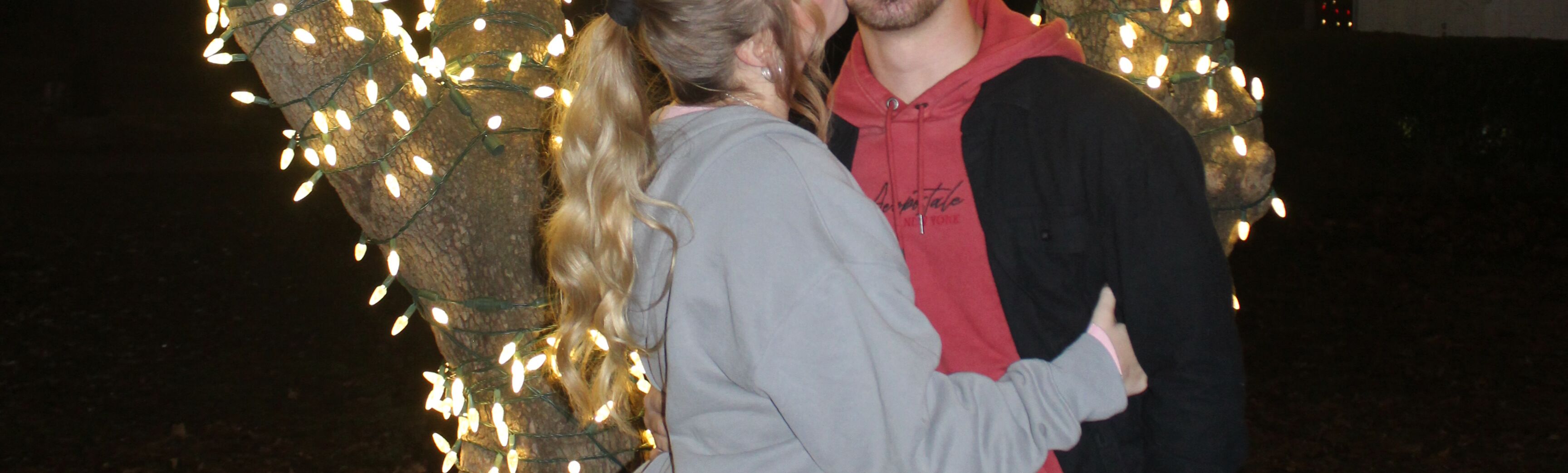 Picture of 2021 Christmas