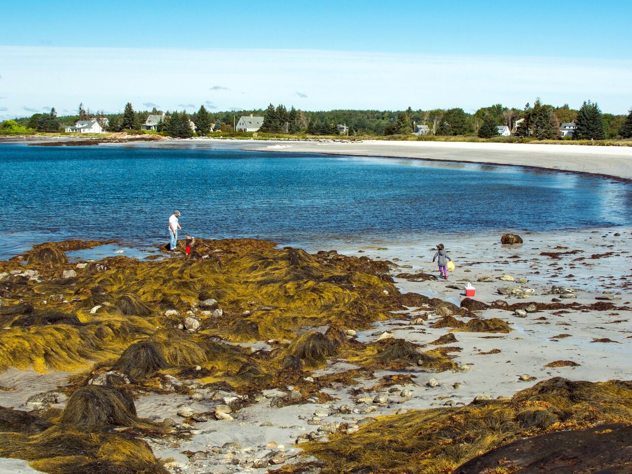 Picture of Pemaquid Beach Park