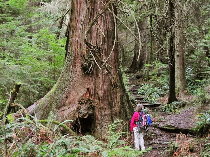 Picture of South Whidbey State Park