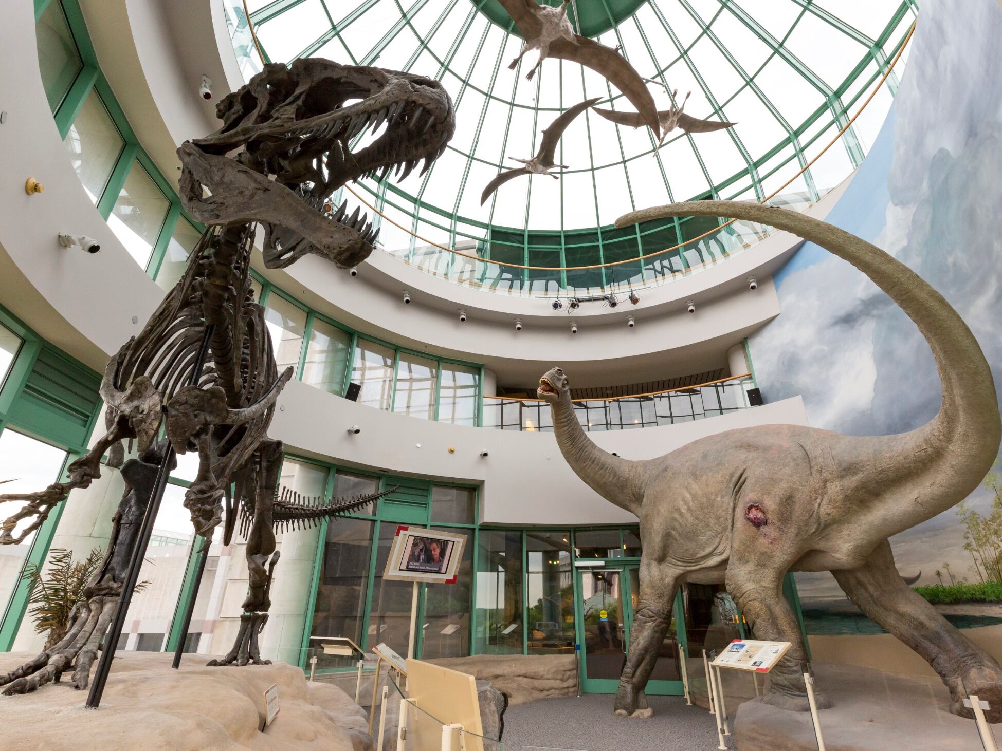 Picture of North Carolina Museum of Natural Sciences