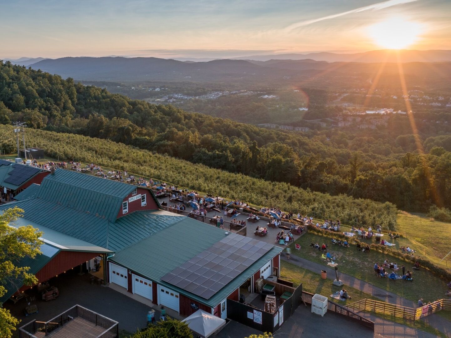 Picture of Carter Mountain Orchard and Country Store