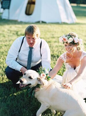 A Floral Dog Collar
