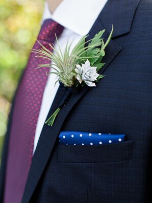 Air Plant and Succulent Boutonniere