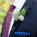 Air Plant and Succulent Boutonniere