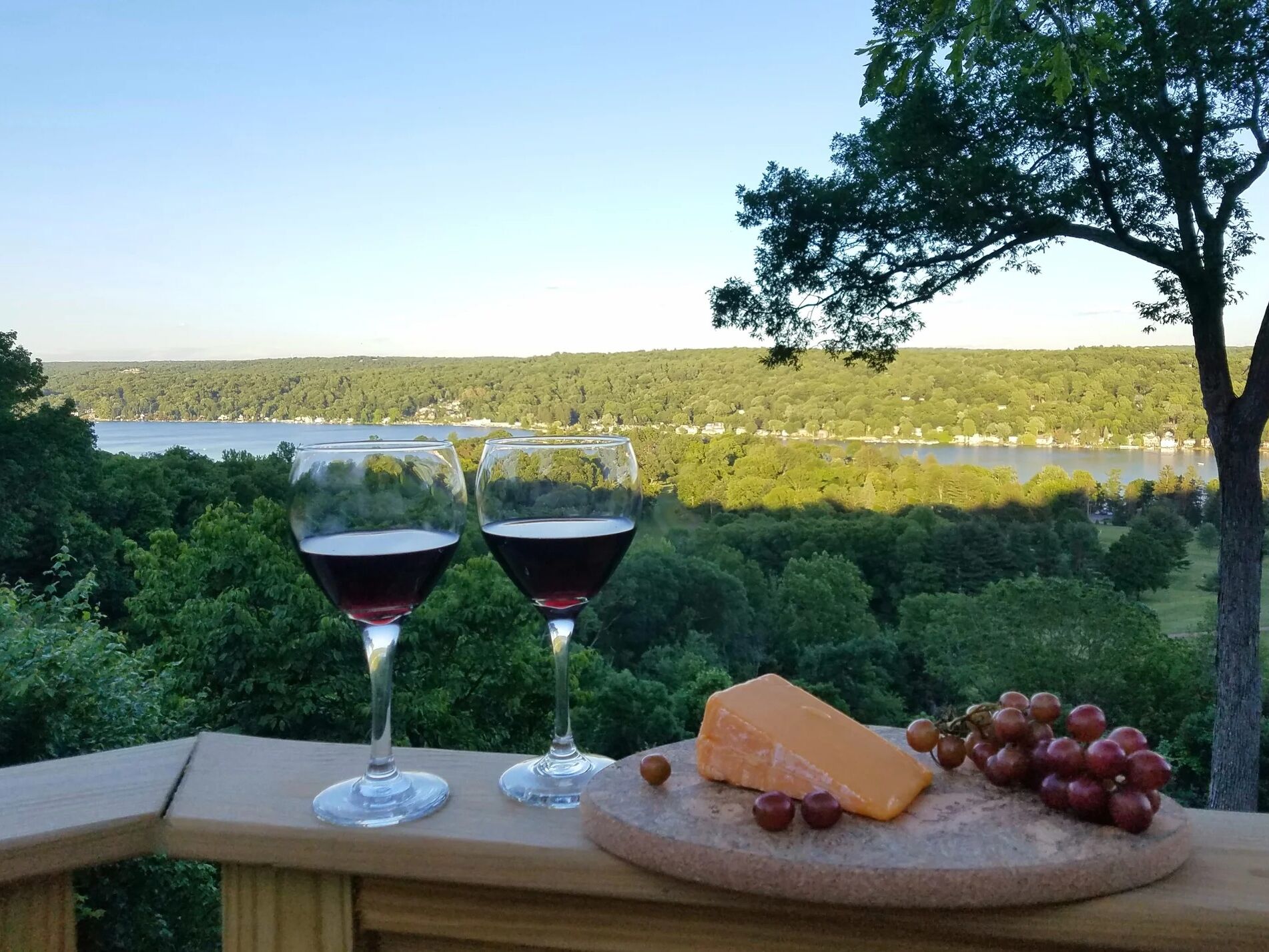 Picture of Finger Lakes Wineries