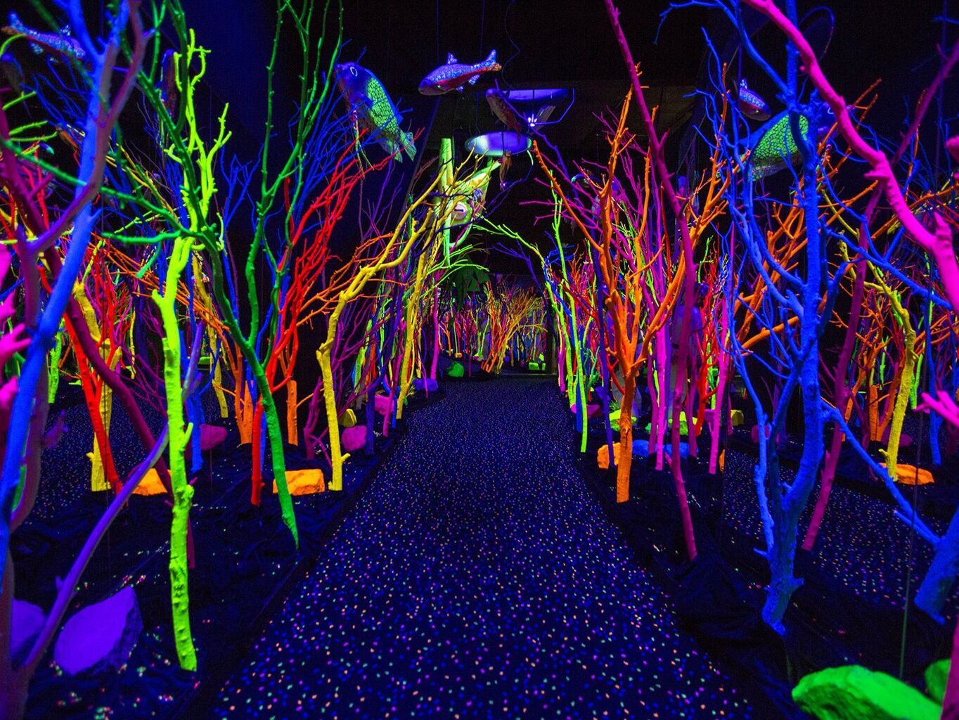 Picture of Meow Wolf Santa Fe