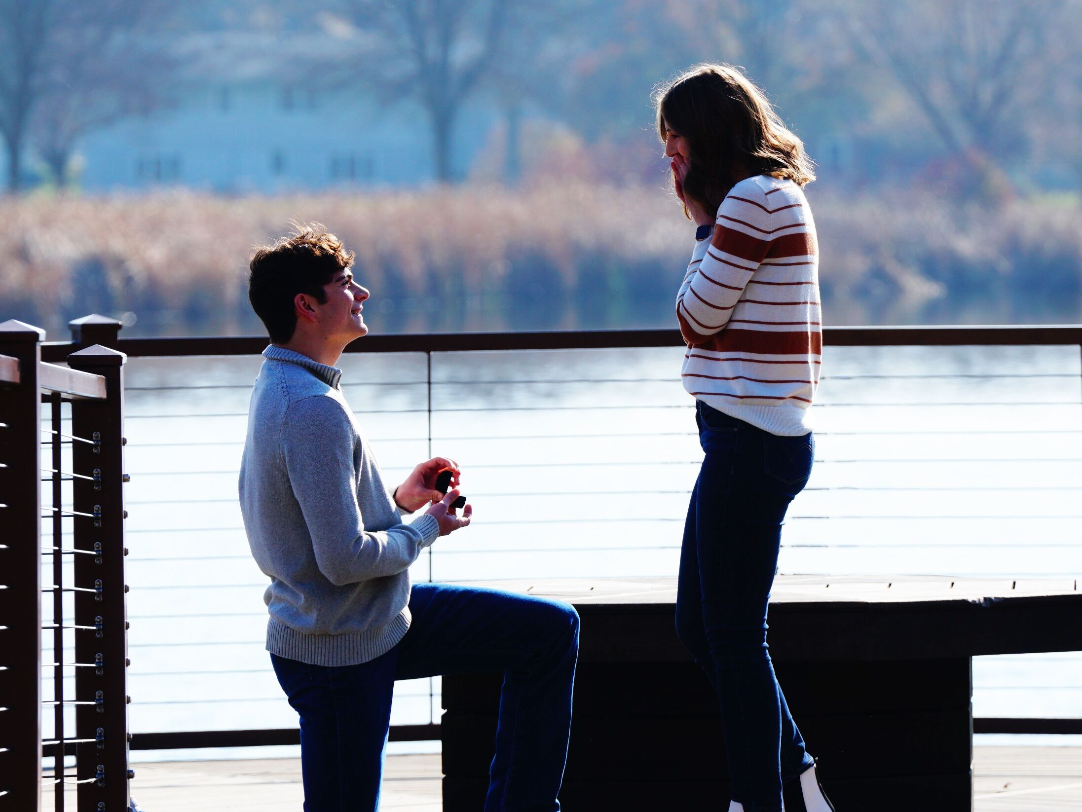 Picture of The Proposal