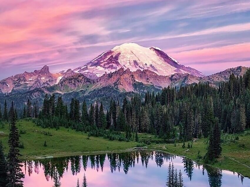 Picture of Visit Mount Rainier National Park