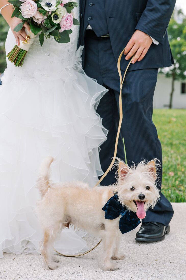 The couple's dog, Papa Louie (who was also present for the proposal!), served as a combination of “best dog” and ring bearer. The fury friend donned a vintage navy bowtie and a gold collar both from Etsy.
