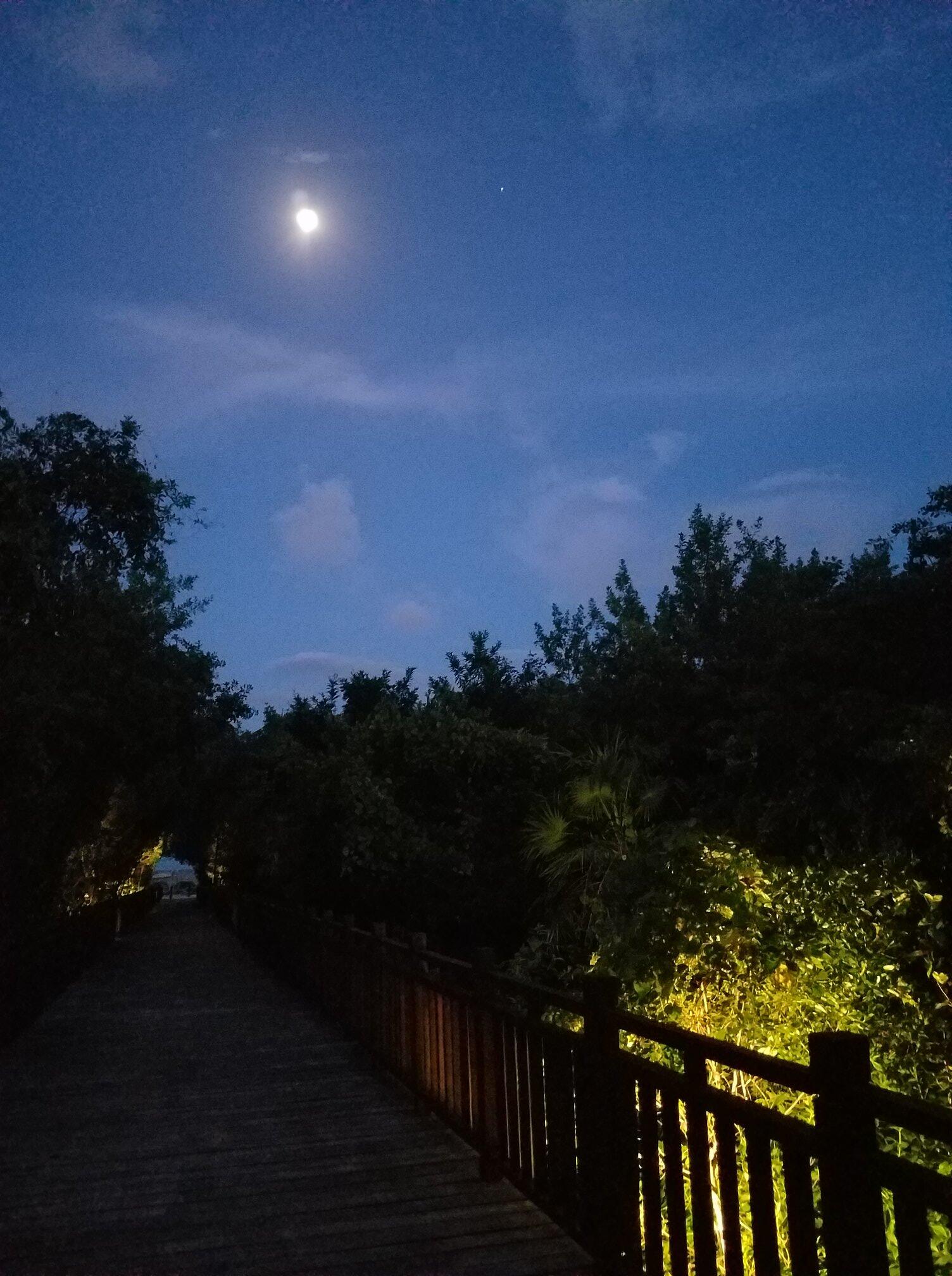 Album Photo 32