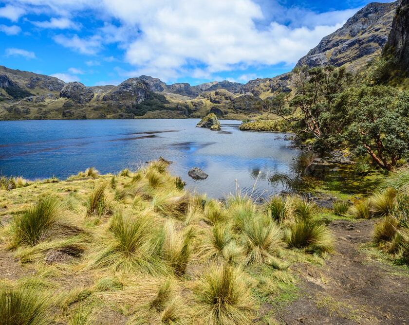 Picture of Parque Nacional Cajas