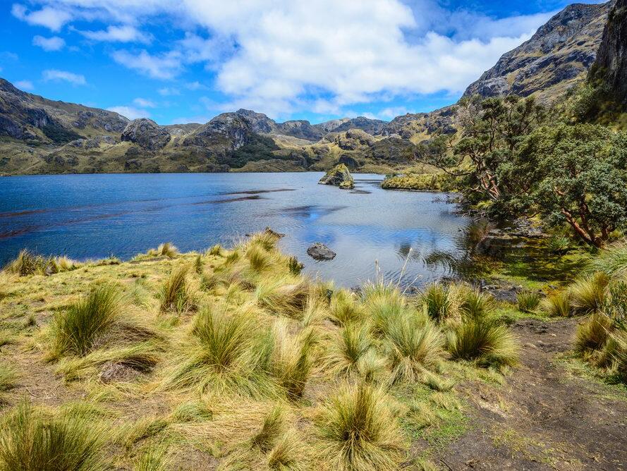 Picture of Parque Nacional Cajas