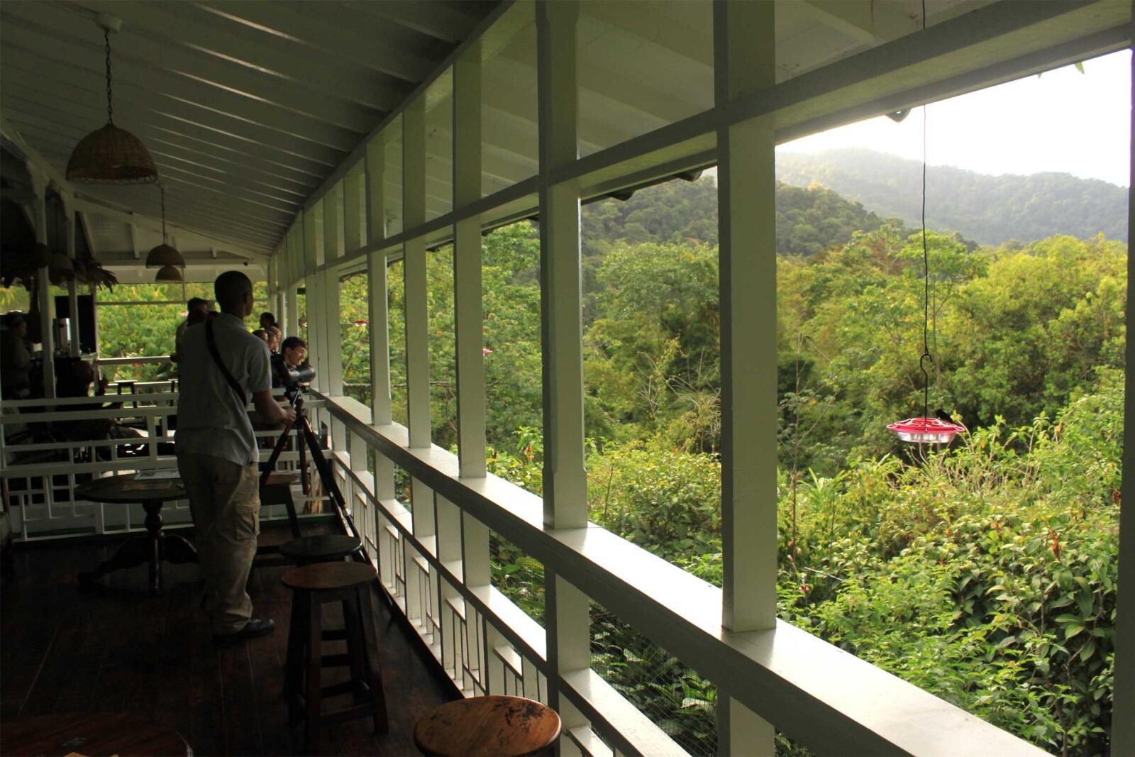 Picture of Asa Wright Nature Centre