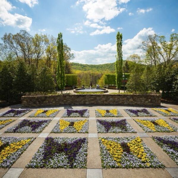 Picture of The North Carolina Arboretum