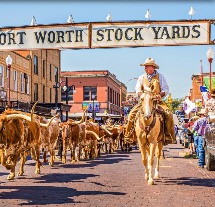 Picture of Fort Worth Stockyards