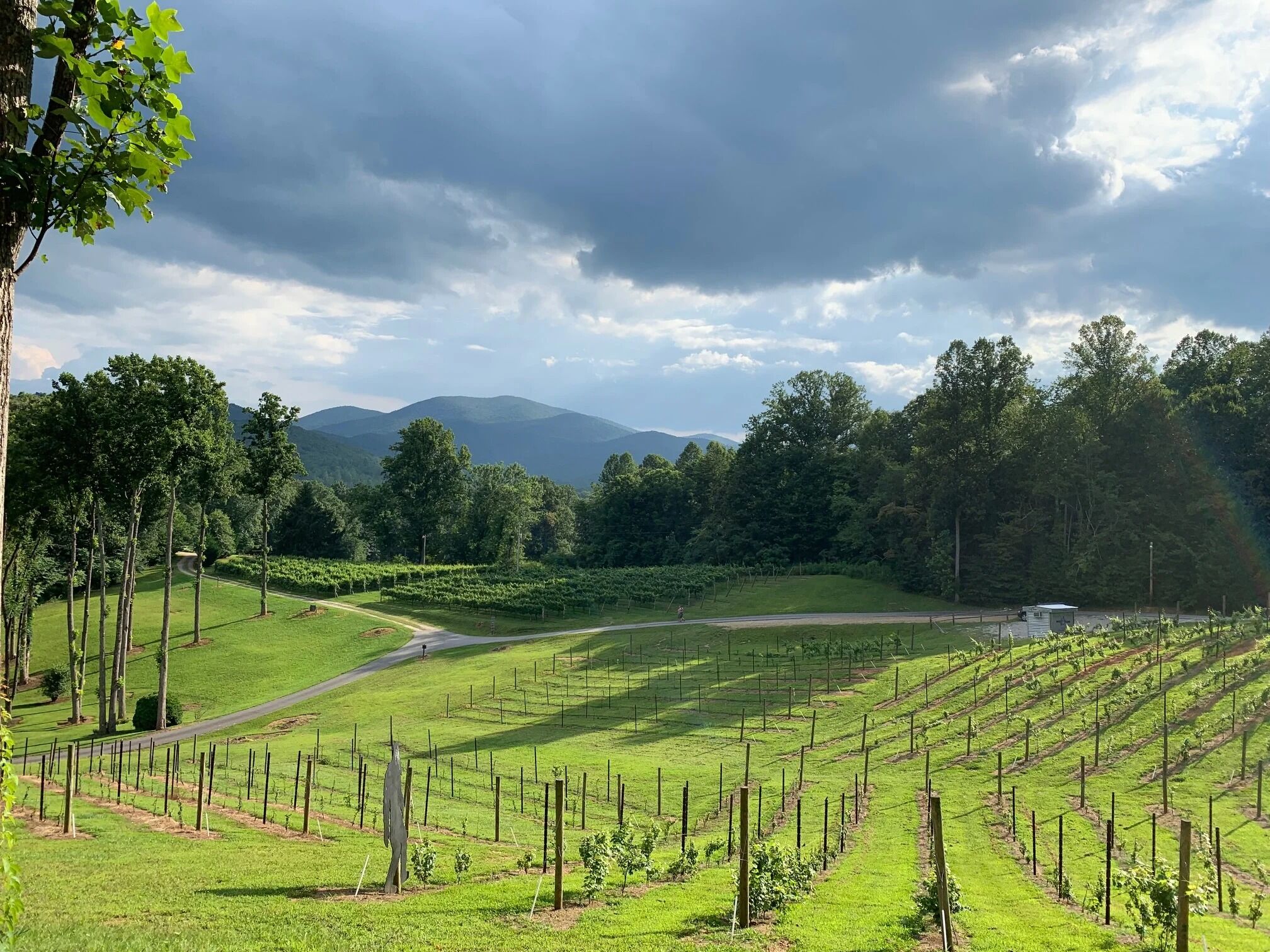 Picture of Paradise Hills, Winery Resort & Spa