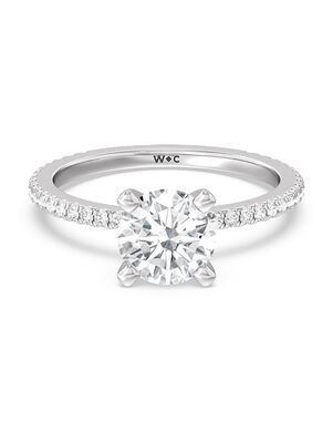 With Clarity Elegant Princess, Asscher, Cushion, Emerald, Marquise, Pear, Radiant, Round, Oval Cut Engagement Ring