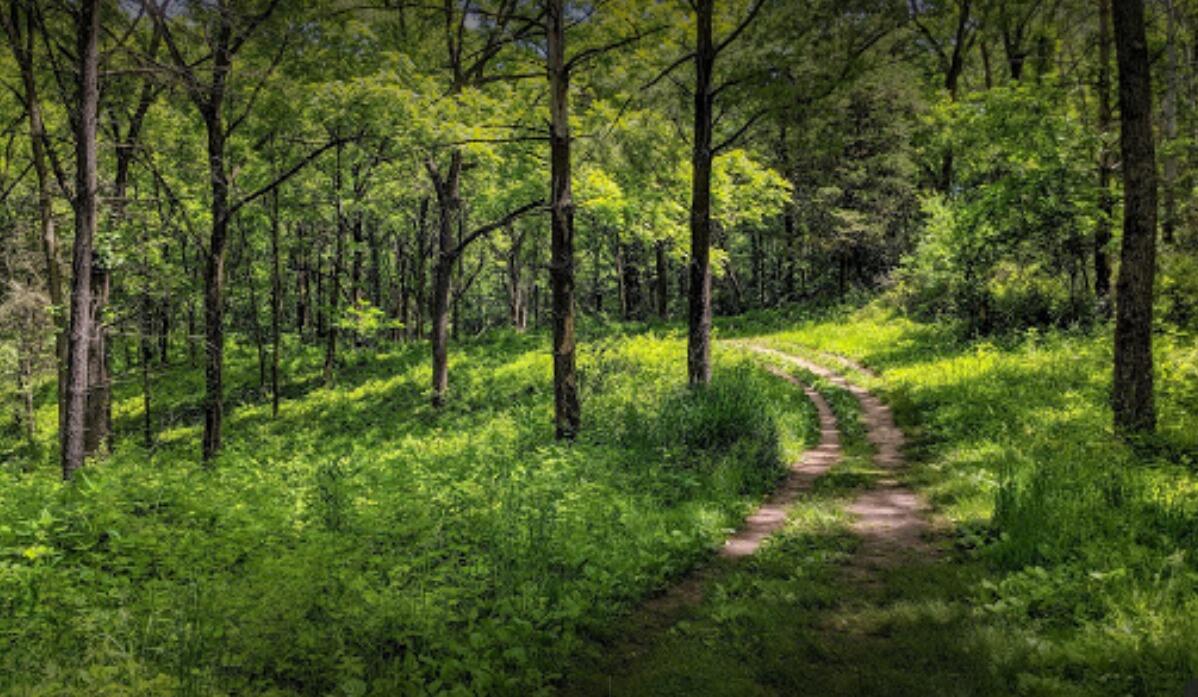 Picture of Lapham Peak State Park