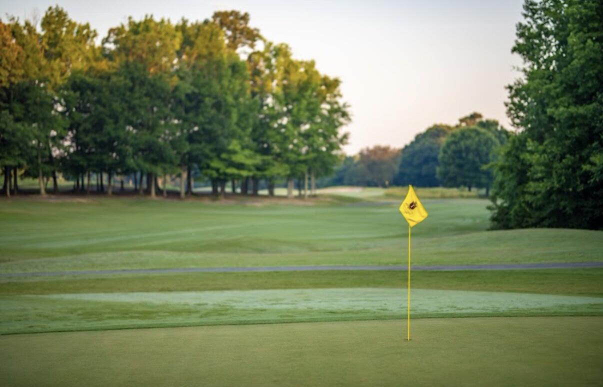 Picture of Tradition Golf Course