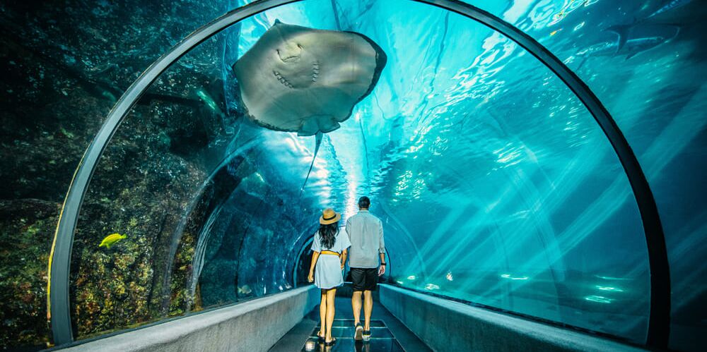 Picture of Maui Ocean Center, The Aquarium of Hawaii