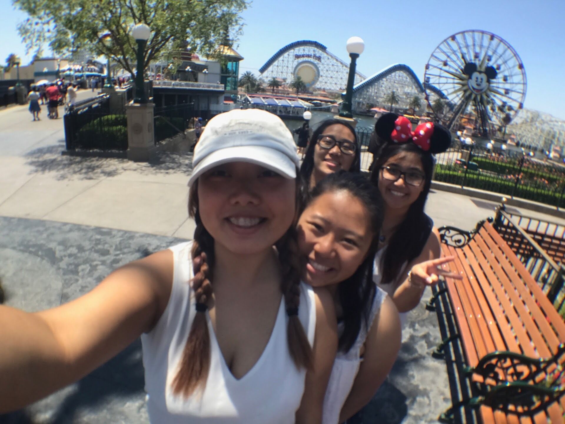 Picture of Disneyland Park